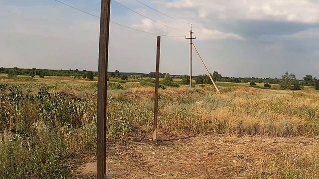 Строительство питомника. Новый дом для волка Рагнара. смотреть онлайн
