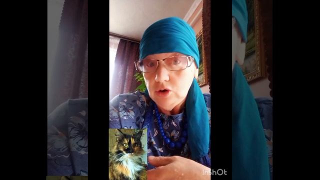 Кошки не закончились! Моя красавица Люся.Седьмой год живёт, она родилась на 40 день смерти мужа... смотреть онлайн