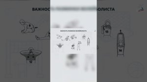 Перемещение игрока в волейболе