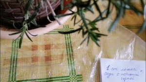 Сода против мучнистой росы! Нюансы и пропорции дома и на даче. Спасаю мой необычный розмарин