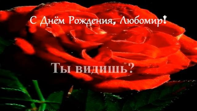 Смешное поздравление. С Днём рождения, Любомир! смотреть онлайн