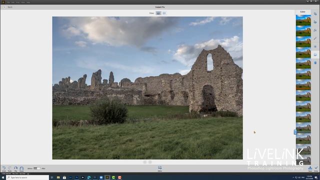 Editing in the Organiser: Photoshop Elements 2020 смотреть онлайн