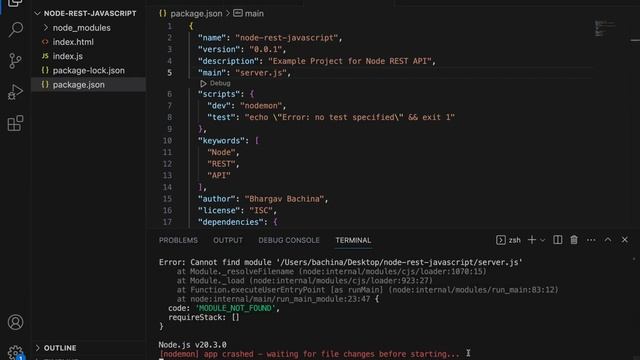 NodeJS REST API With MongoDB- JavaScript EP 6 - Setting up Nodemon | Bachina Labs EP42 смотреть онлайн