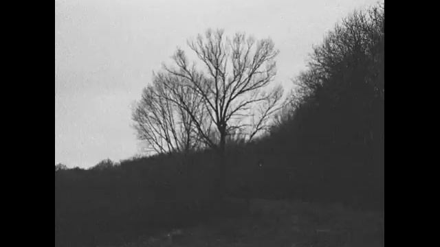 эхопрокуренныхподъездов - честерфилд