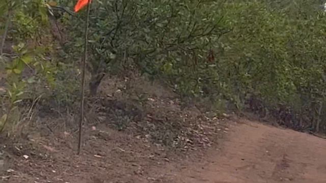 Dr Ravi Varma Dhanvanthri Ayurveda Camp, Kanupuru village, Gadarada near Rajahmundry смотреть онлайн