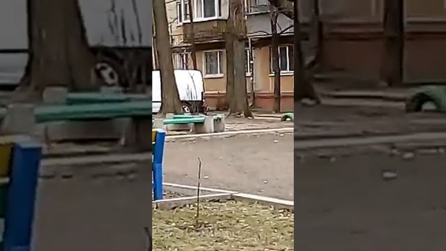 Дворик для детей смотреть онлайн