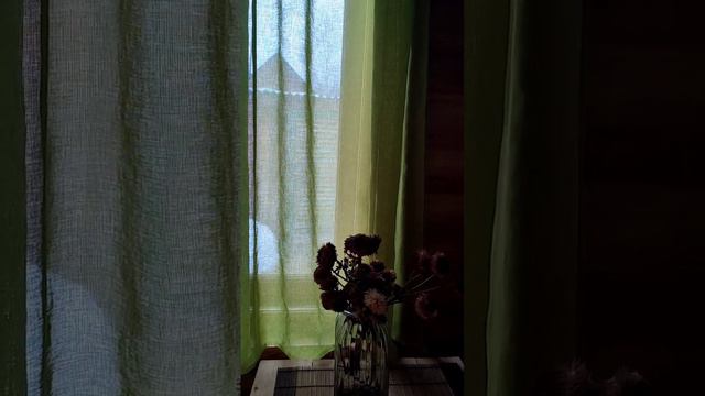 ДУРАКАМ НАДО ВРАТЬ (не видео, а слышио) смотреть онлайн