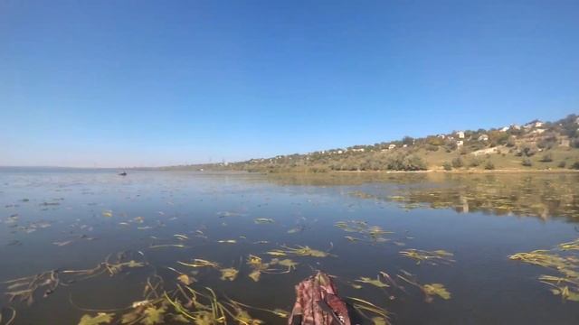wi fi под водой - съемка видео рыбалки экшн камерой YI 4K смотреть онлайн