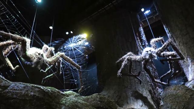 Пауки в запретном лесу смотреть онлайн