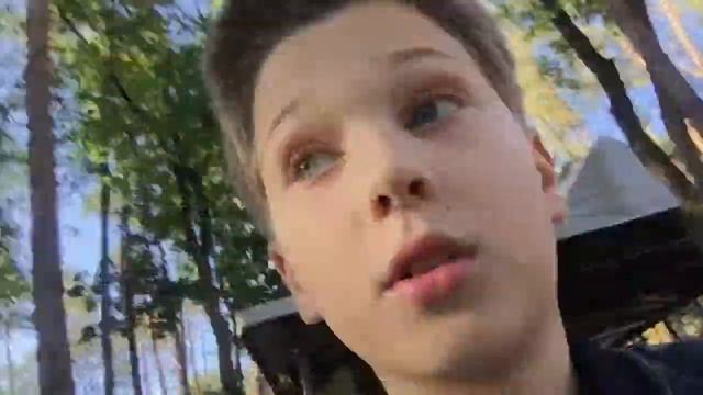 Лес и Лис смотреть онлайн