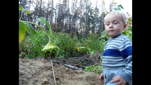 Десять лет, бегут года. 2013, Федя в Гагаринском. The 126ers -- A Call Is Upon Us смотреть онлайн