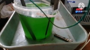 осаждение золота электролизом ч. 1