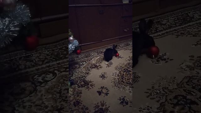 ЗДРАВСТВУЙ ЖОПА НОВЫЙ ГОД