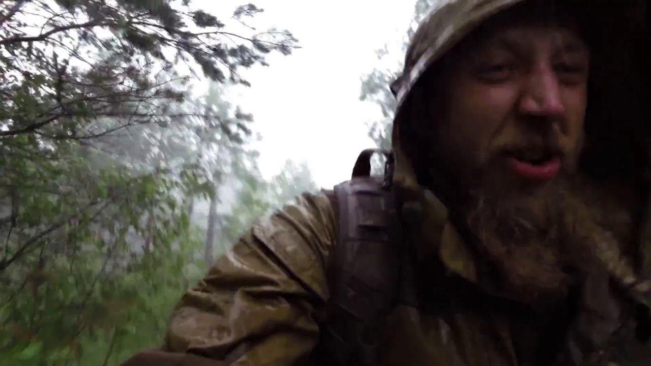 Попали в ураган с ливнем в лесу. Мещера заповедник, Московская обл. КукуруЗо. смотреть онлайн