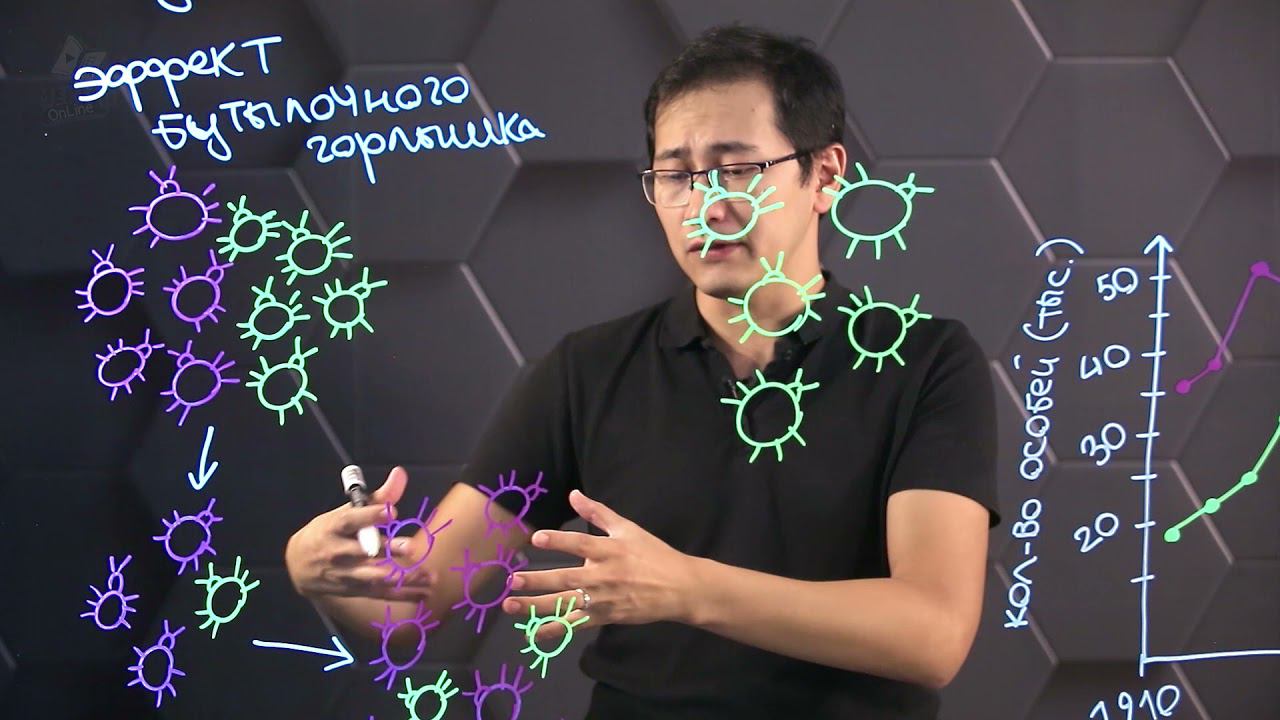 Дрейф генов. Популяционные волны. 10 класс. смотреть онлайн