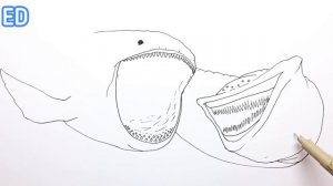 How to Draw Bloop vs El Gran Maja