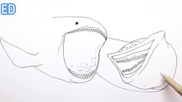 How to Draw Bloop vs El Gran Maja