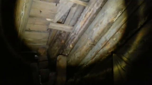 Первая экспедиция в поисках золота! смотреть онлайн