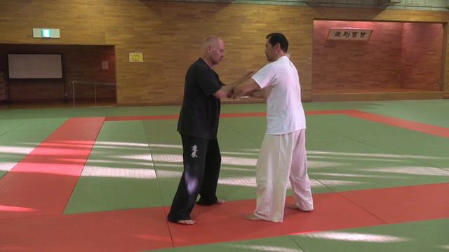 Тайкикен Taikiken / Ицюань Yiquan
