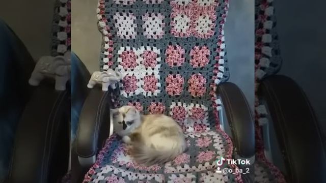 Плед( накидка на компьютерный стул) смотреть онлайн