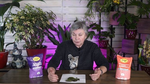 Как НАВСЕГДА убрать Мох на даче ✔️ Советы от Garden-zoo смотреть онлайн