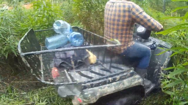 Тихая охота - Сбор кедровой шишки смотреть онлайн