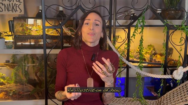 Unleashing Creativity: Art Therapy Meets Snake Therapy! смотреть онлайн