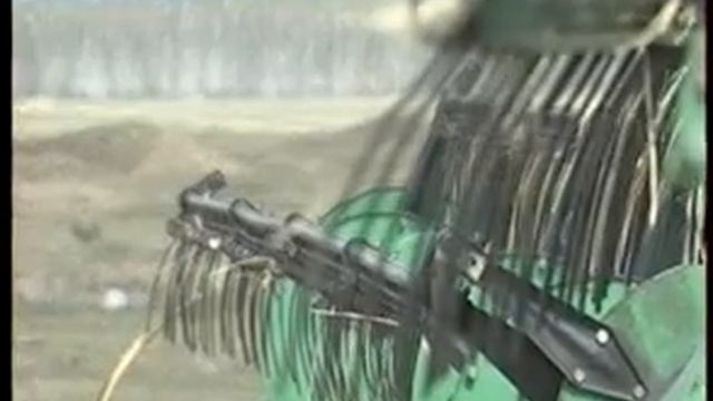 "Равис" убой скота? смотреть онлайн