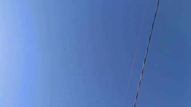 Подъем и покрытие бакинских голубей. 2021г. смотреть онлайн