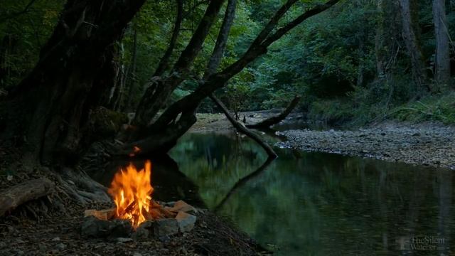 Как вырастить хорошие огурцы в открытом грунте? смотреть онлайн