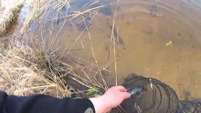 Рыбалка на оз. Удомля смотреть онлайн