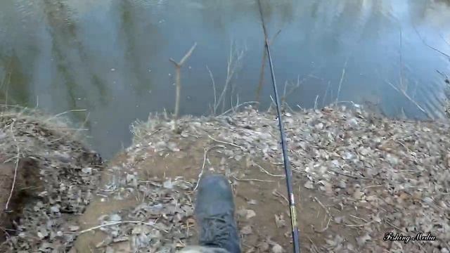 Проверка тычек. Голавль и налим. И рыбалка на удочку с донкой в апреле. Хищная рыба на живца 2020 # смотреть онлайн