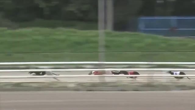 Droopys Dime - Blunsdon Standard смотреть онлайн