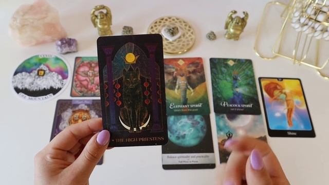 Your Next Boyfriend or Girlfriend? Looks, Character, Initials, How & When?✨?Pick a Card Reading? смотреть онлайн