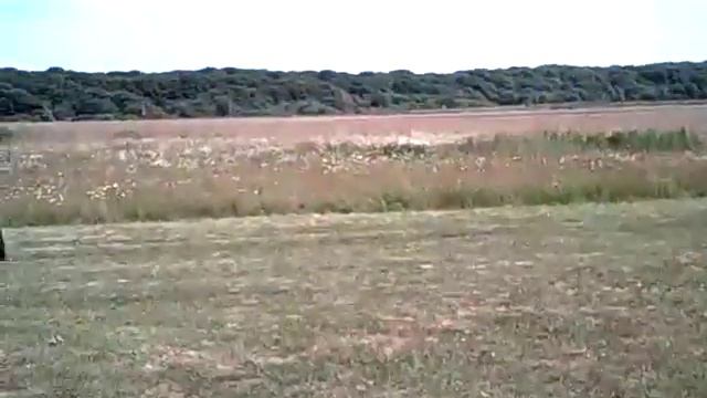 Как я летаю на своем квадрокоптере suma x5 смотреть онлайн