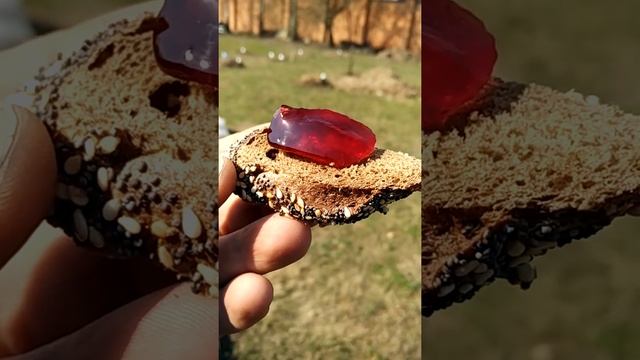 Желе: волшебство на вашем столе