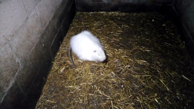 О нас говорят плохо 😔! смотреть онлайн