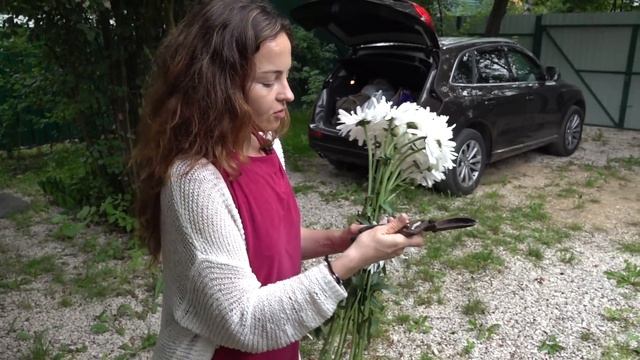 Показываю свою дачу и ромашки на даче - Reality Show смотреть онлайн