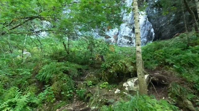 Река Кия, водопады, пещера..(вид с верху 4К), Кемеровская обл, Тисульский район, поселок Макаракски смотреть онлайн