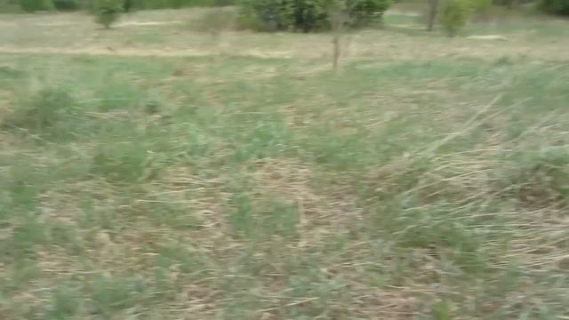 Взял пол тонны металла на "Забытой деревне". Коп металлолома. смотреть онлайн