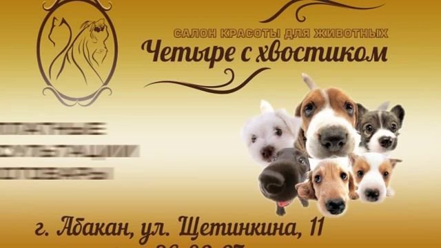 4 с хвостиком Абакан смотреть онлайн