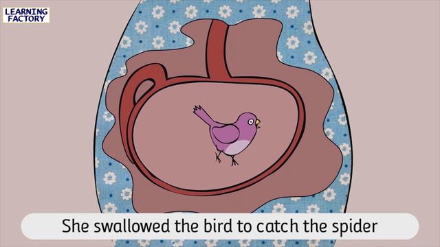 I Know An Old Lady Who Swallowed A Fly | #rhyming #nurseryrhyming #kidsrhyming
