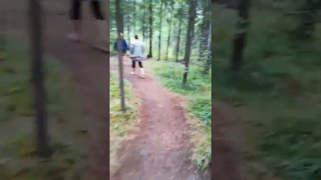 Горный Алтай. Август 2017. Гейзеровое озеро. Тропа смотреть онлайн