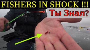 Это РЕАЛЬНО ЗАМЕНЯЕТ МОТЫЛЯ на 100_ . Насадка для зимней рыбалки. Щука утянула удочку