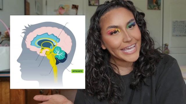 The Spectrum and the Autistic Brain смотреть онлайн