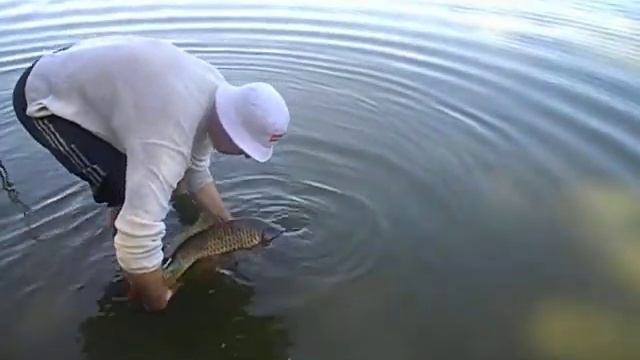 26.08 / РаМеНсКиЙ рЫбХоЗ /  кАрП 7.760 гР / сПаСиБо За ВоЗвРаТ !!!