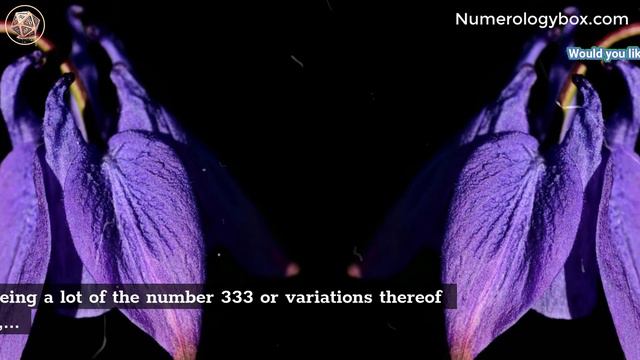 333 Angel Number Twin Flame Reunion Union Separation смотреть онлайн