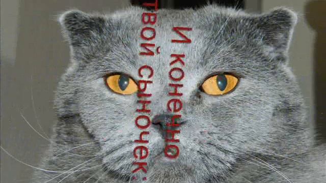 С Днем Рождения,Юлия Михайловна! смотреть онлайн