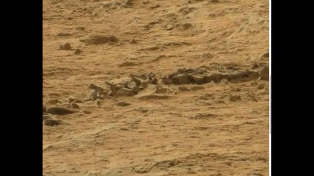 Новая загадка! На Марсе найден скелет животного. смотреть онлайн