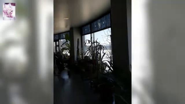 The Magnificent St. Joseph's Oratory, Montreal (QC) Canada Vlog #2 смотреть онлайн